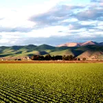 A wide agricultural field, with distant lands seen are mountainous areas. This cultivation place symbolises the section of water pump meant for agriculture only.