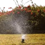 A sprinkler head activated as it drizzles hydration across a backyard, and this is powered by a water pump for garden.