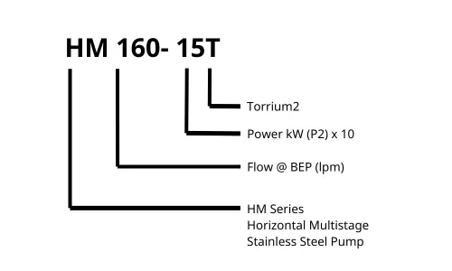 Davey-Horizontal-Multistage-HM160-15T-Water-Pump-With-Torrium2-Method-Of-Identification