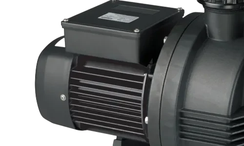 Davey Typhoon Swimming Pool Pump TEFC Motor