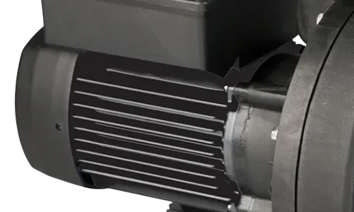 Davey Whisper Swimming Pool Pump TEFC Motor